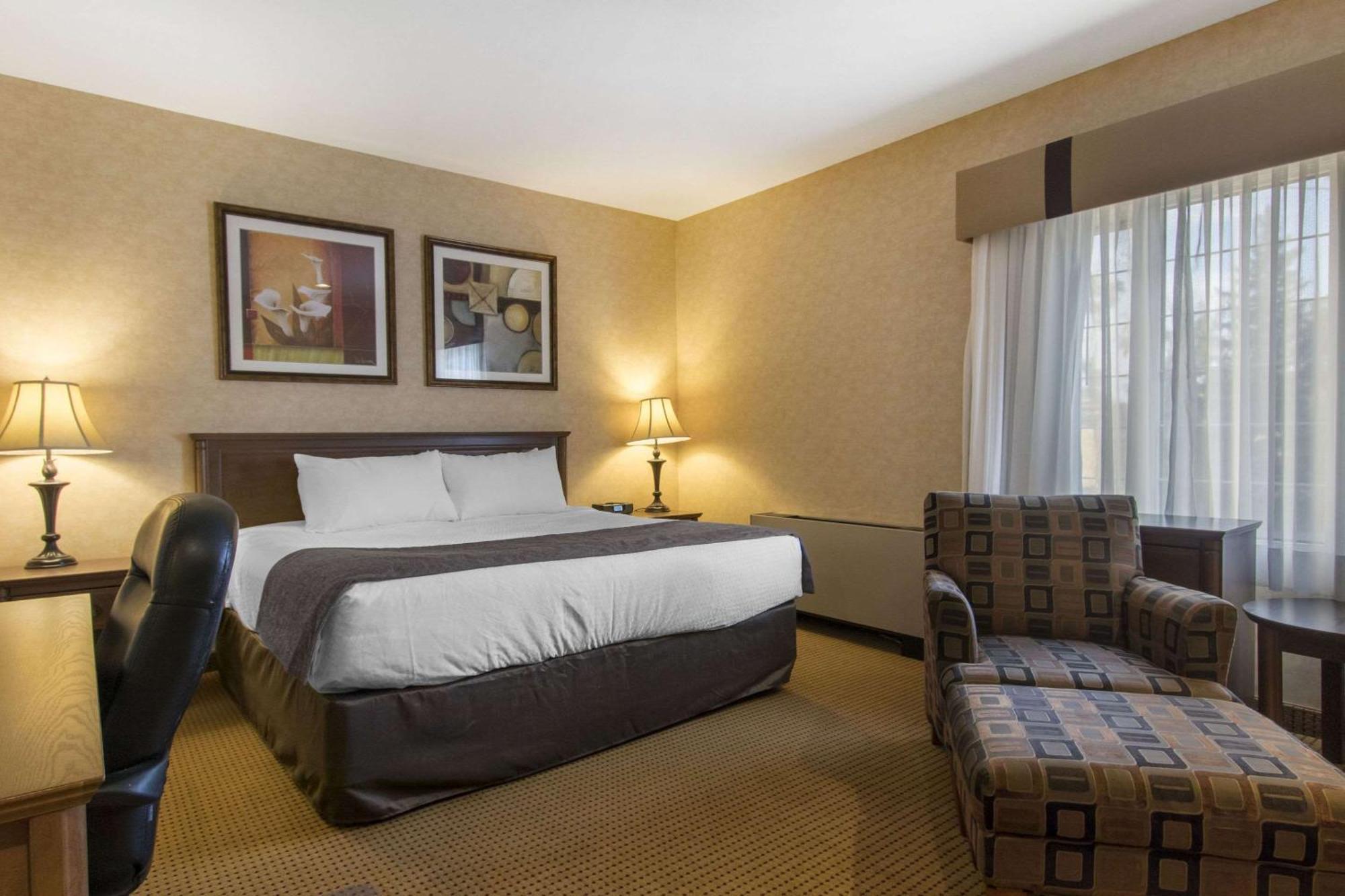 Flamingo Hotel Medicine Hat Exterior foto